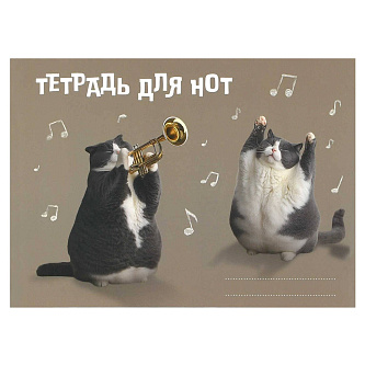Тетрадь д/нот 16л А5 "КОТ-ТРУБАЧ" мелов обл