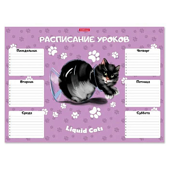 Расписание уроков ErichKrause Жидкие коты, А3