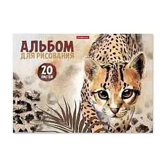 Альбом д/рис А4 20л 120г клеев осн Дикая Кошка ЕК, фото №1