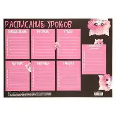 Расписание уроков "Кот в кружке" А4, фото №1