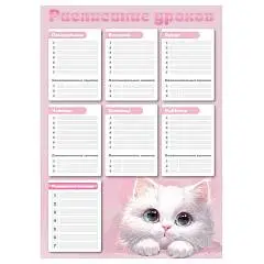Расписание уроков А3 "БЕЛЫЙ КОТ" выб УФ-лак, фото №1