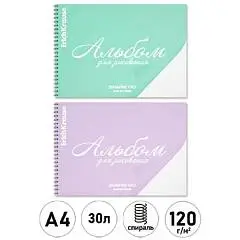 Альбом д/рис А4 30л гребень ЕК пласт обложка "Мечта", фото №1