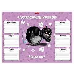 Расписание уроков ErichKrause Жидкие коты, А3, фото №1